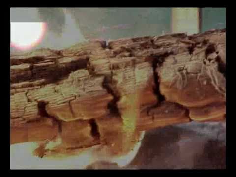 dreamlogicc - Live In Chicago - Morseland 2009