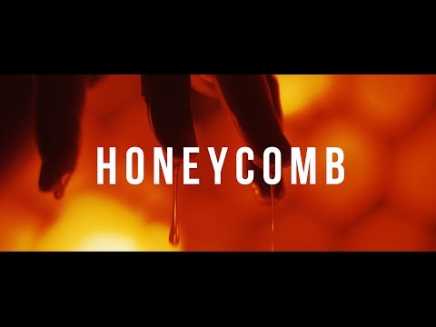 Summer Underground - Honeycomb Official Music Video