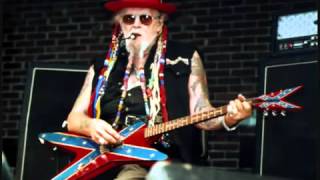 David Allan Coe - The Perfect Country Song?