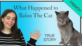FRENCH STORY - BALOO's STORY - L'HISTOIRE DE BALOO