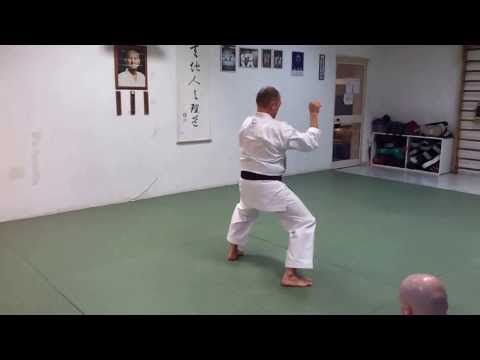 Niseishi (con spiegazione tecnica) by Takewaki Sensei - Kata Wado Ryu