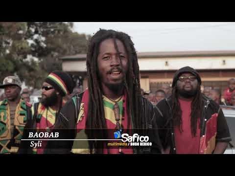 Syli National, Allez Allez ! BAOBAB SPIRIT