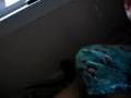 The Window Kids 3 Catfight