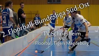 preview picture of video 'TV Schriesheim vs. Floorball Tigers Magdeburg (Floorball 2. Bundesliga Süd-Ost)'