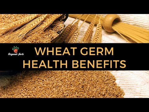 , title : '9 AMAZING BENEFITS OF WHEAT GERM | HEALTH BENEFITS OF WHEAT GERM