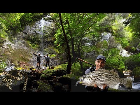 3 day Backpacking Adventure in Untouched Tropical Rainforest - Epic scenery and Insane Fishing!