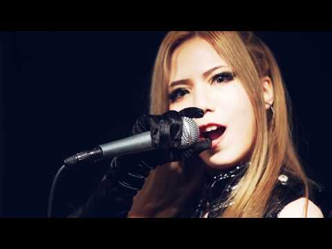 絶対倶楽部 ZETTAI CLUB【突進】(Official Music Video)