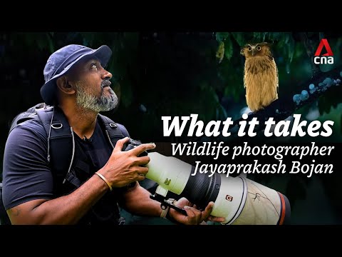What it takes to be an award-winning wildlife photographer