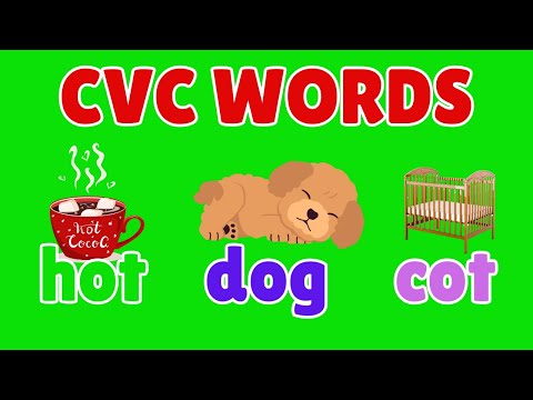 Learn to Blend and Read 3-Letter CVC Words -learning the Steps of How to Read for Children