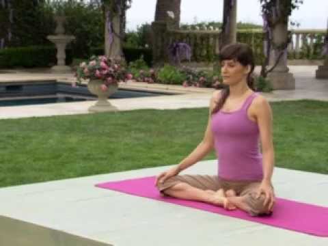 Yoga for Beginners - PM Yoga