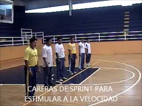 CALENTAMIENTO DE VOLEIBOL PARTE 2 AUMENTO DEL RITMO CARDIACO