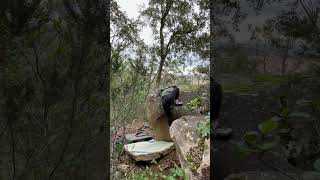 Video thumbnail of La otra orilla del Arqueronte, 5. Sant Feliu de Guíxols