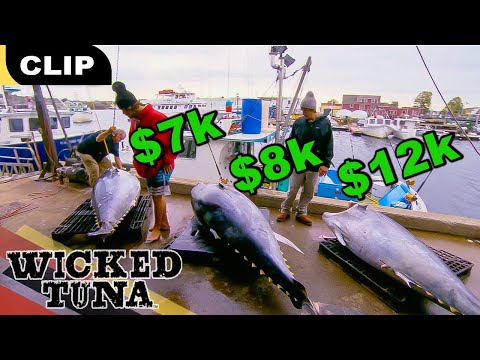 The Pinwheel Boys Bring in $27K | S2E15 | Wicked Tuna