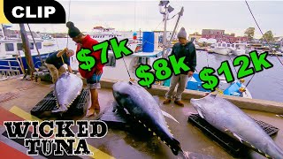 The Pinwheel Boys Bring in $27K | S2E15 | Wicked Tuna