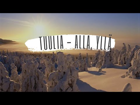 Tuulia - Alla, Yllä.  Forest walk in Lapland
