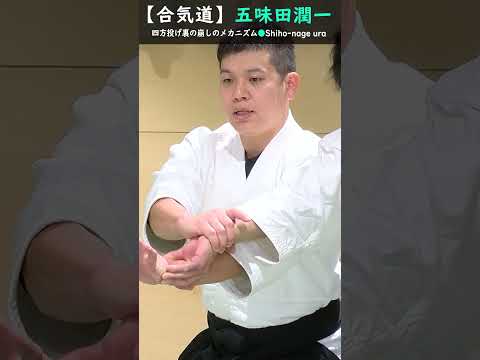 五味田潤一:四方投げ裏の崩しのメカニズム【解説】#short #aikido #aikidotechniques #aikidoaikikai #aikidolife #legend  #budo
