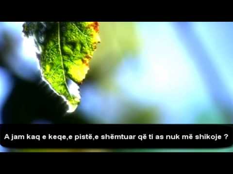 Pendimi i një vajze Ngjarje e vërtetë ᴴᴰ