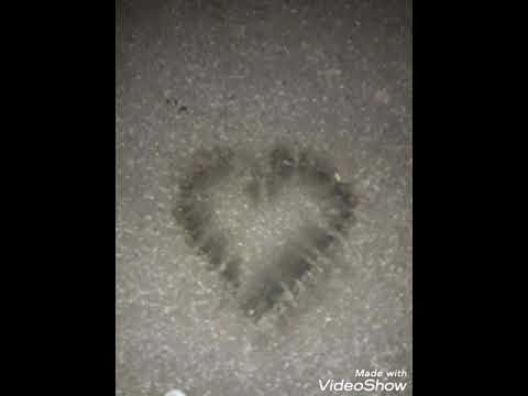 Dušan Mandić - Prolazi život