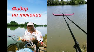Ловля леща и сазана на фидер
