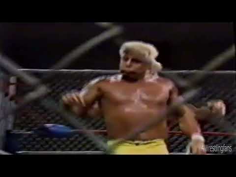 NWA title Ric Flair vs Ron Garvin Cage Match