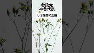 【さすが】参政党神谷代表、しばき隊に正論かます #shorts