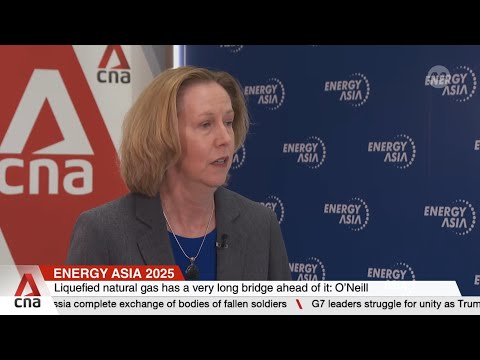 Liquefied natural gas has a ‘very long bridge ahead of it’: Woodside Energy CEO