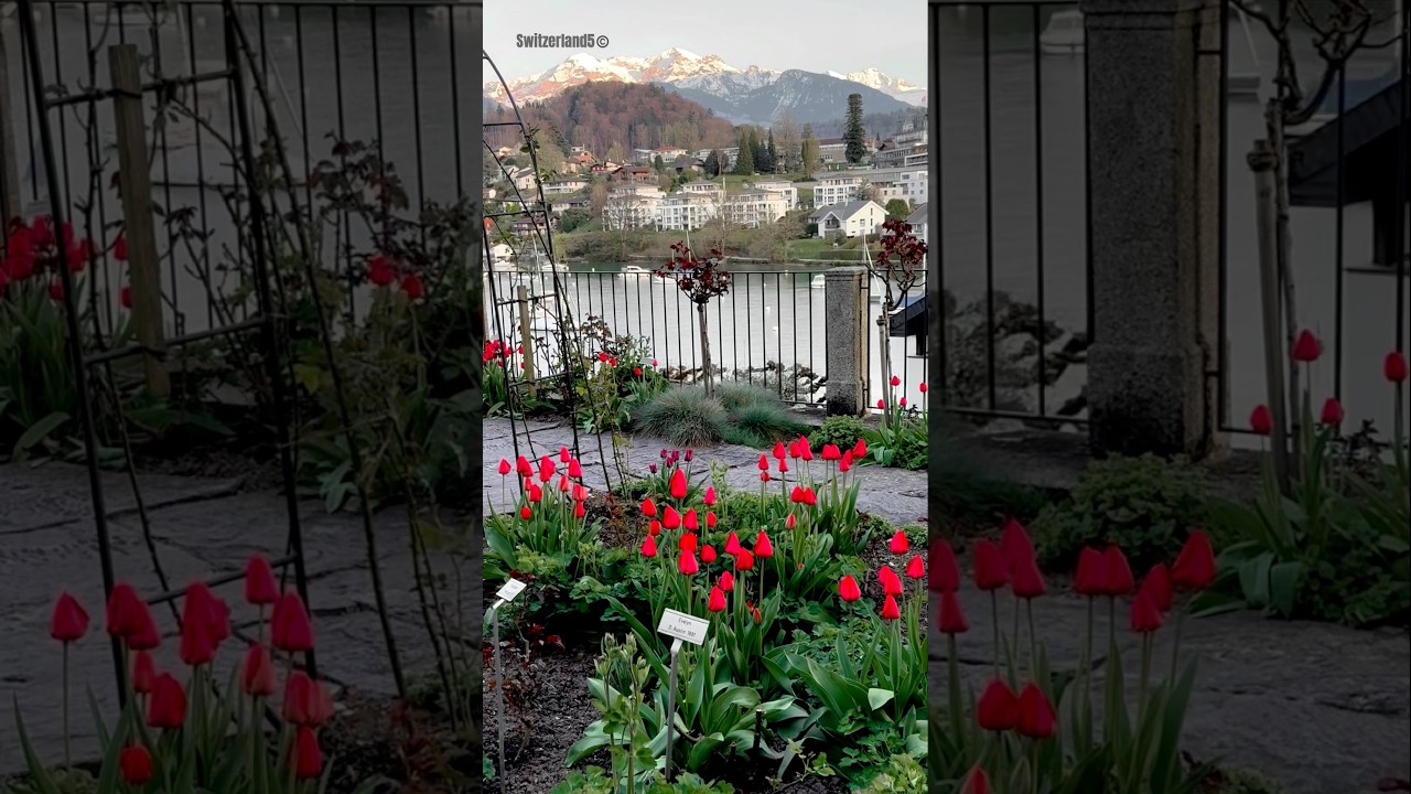 YouTube Short thumbnail