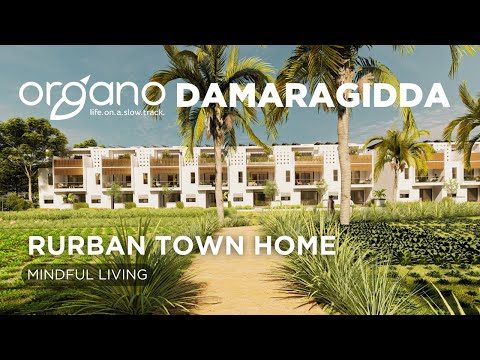3D Tour Of Organo Damaragidda