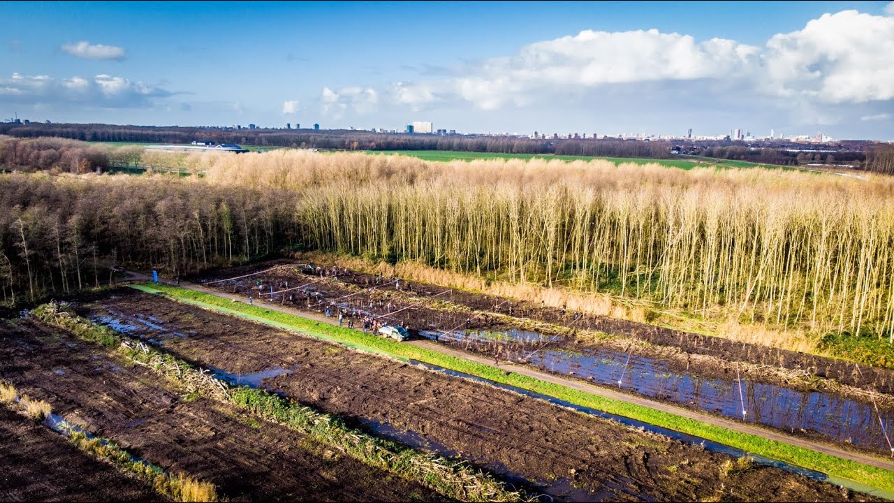 Trees for All - Boomplantdagen 2019