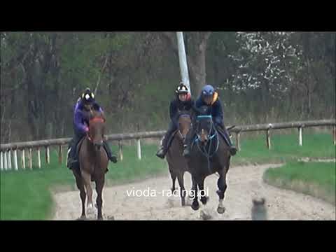 Fabulous Las Vegas, Night Tornado i Timemaster - Tor Służewiec, 22.04.2021