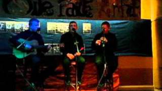 The Gallaghers & Cillian Roche- Parcel of Rogues