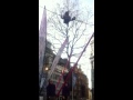 Flying
