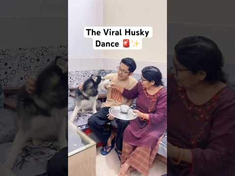 Review Reloaded and Review Reloaded Vlogs