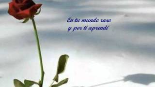 Tu Me Acostumbraste.wmv - Luis Miguel - Lyrics