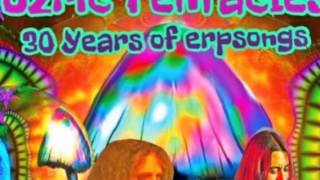 New Ozric Track 2013