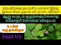 Naturally Conceive Tips For Infertility In Tamil Ilanthai Ilai Benefits Nila S Pregnancy Tips