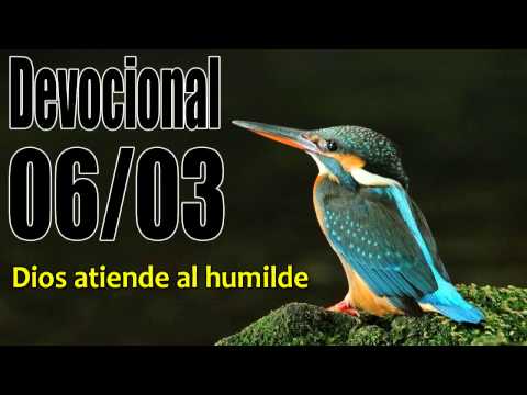 Dios atiende al humilde. Devocional John Piper Solid Joys 06/03