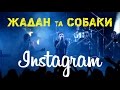Сергій Жадан & Собаки В Космосі - "Instagram" 