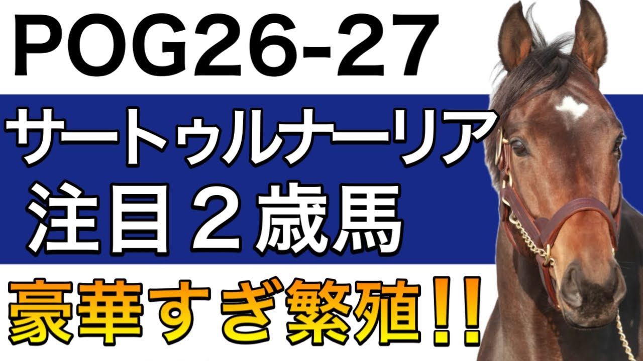 【POG/26−27】サートゥルナーリア産駒の注目２歳馬をリストアップ！【豪華すぎる繁殖レベル‼️次シーズン向け】