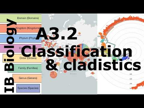 IB Biology – A3.2 Classification and Cladistics