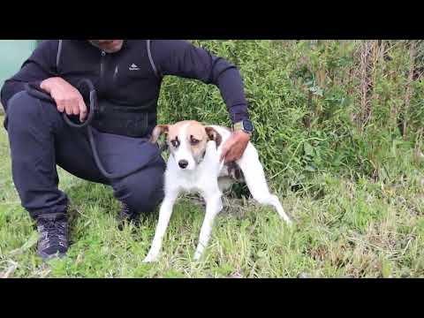 Vídeo de ELSY