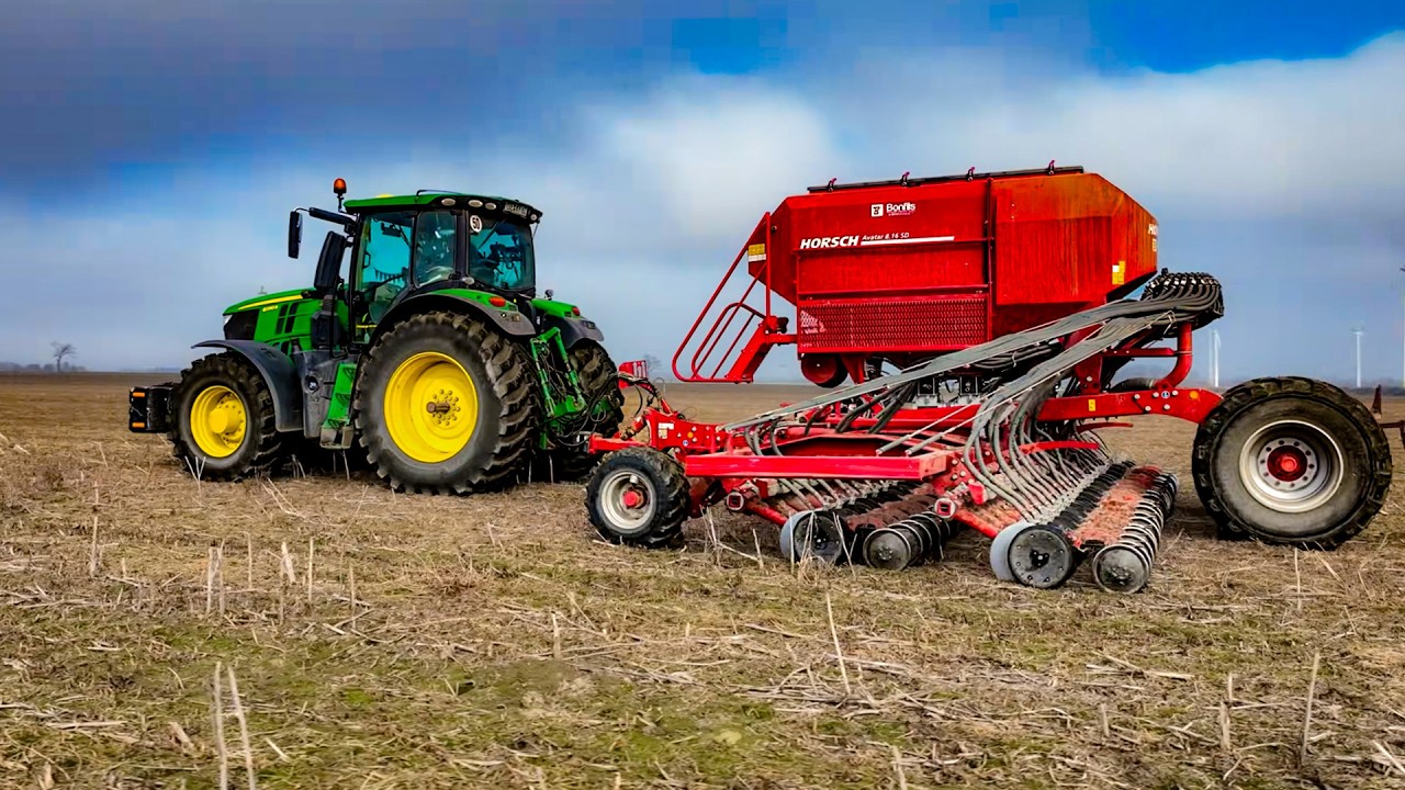 95% TOT! 🌱 Wir müssen den kompletten Hafer neu drillen! (Horsch Avatar) Vlog #335