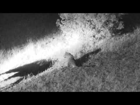 Djuma: Hosana - 18:49 - 08/13/18