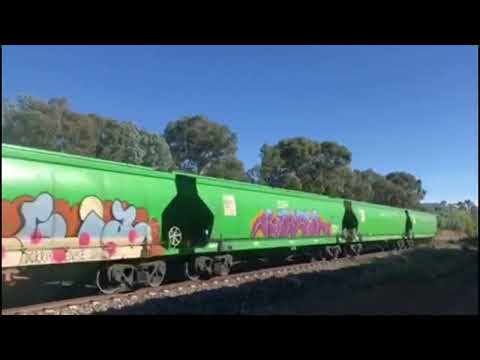 SSR CLF1 leading grain train at avenel .