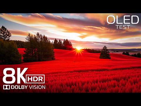 MESMERIZING VIEWS 8K HDR 120FPS DOLBY VISION™ (4K/8K VIDEO)