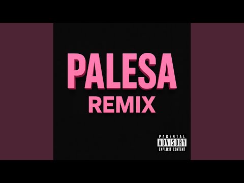 Palesa (Remix)