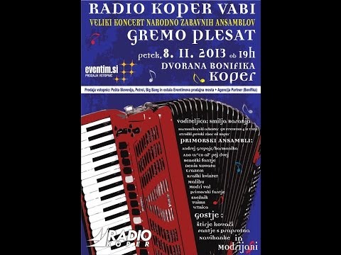 Gremo Plesat! - Arena Bonifika, 8. november 2013