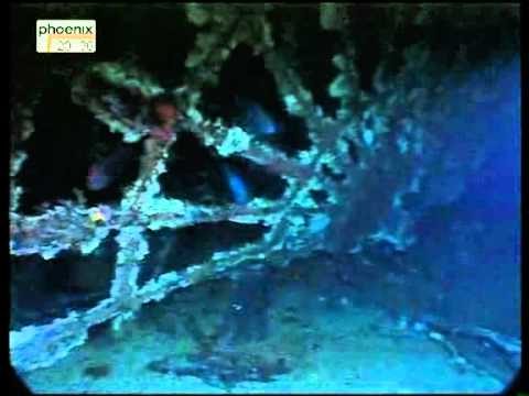 Das Gold der SS Republic 3/5