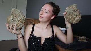 Fossil Friday Ep 7 - Cleaning my recent Fossil Finds 🤩