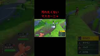 ポケモン　浮輪いる？
